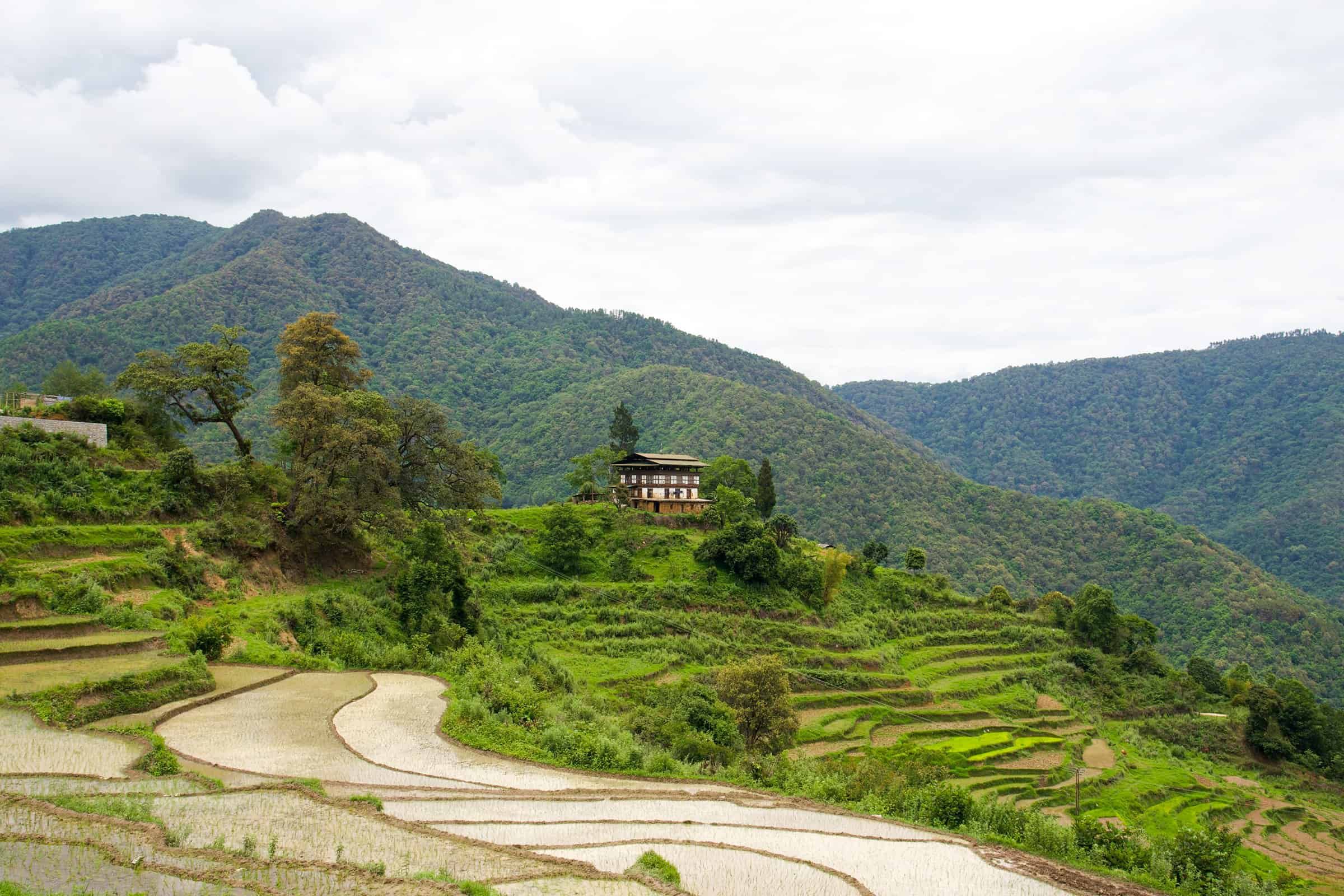 Bild Bhutan 10 sikkim.ch | Nordostinidien und Sikkim Reisen - Bild zu Bhutan