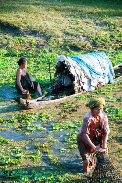 sikkim.ch | Nordostinidien und Sikkim Reisen - Bild zu History, peoples and environment of Assam