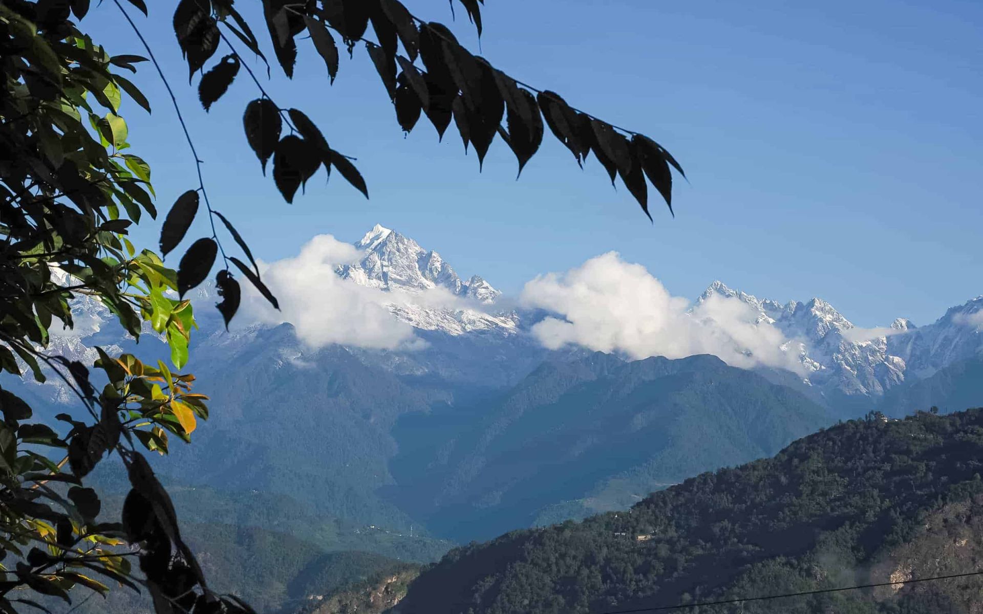  – Sikkim.ch | seit 1999 –