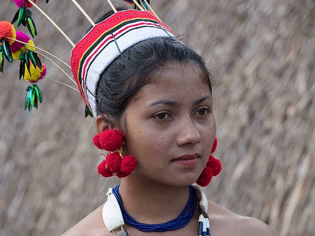 Nagaland – Reisebericht von Teeplantagen und dem Hornbill Festival – Informationen für die Indien Reise