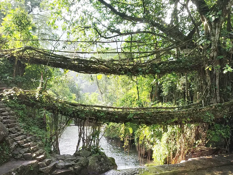 Meghalaya and Assam Tour Image