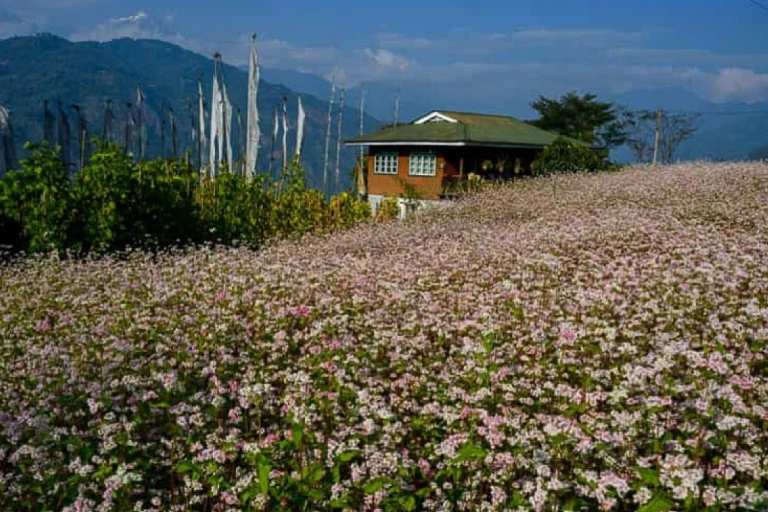 Sikkim Classic Round Trip
