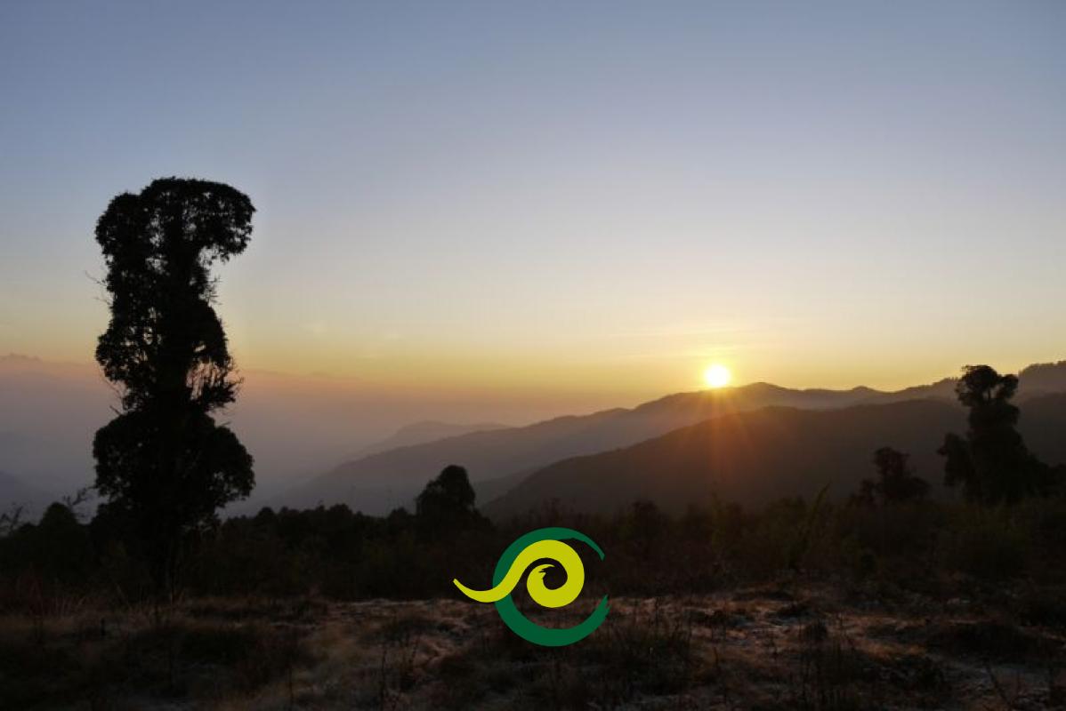 Trekking Sikkim Barsey