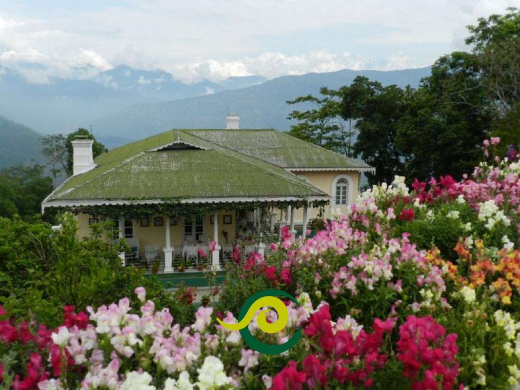 Tour Darjeeling mit Stil Kulturreise