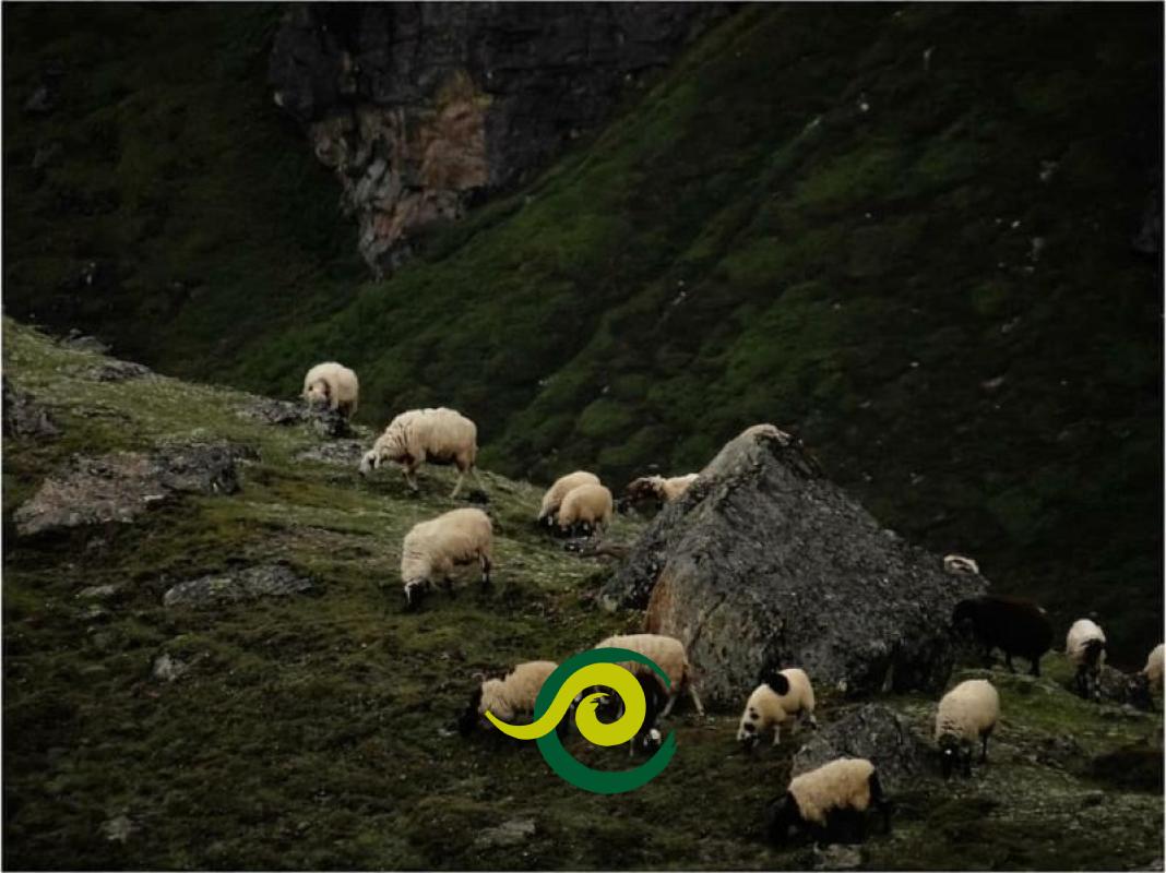 Tour Sikkim North Nomadentrekking