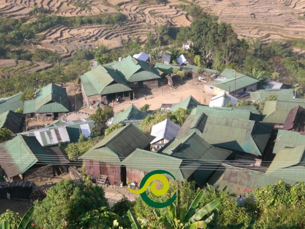 Tour Nagaland