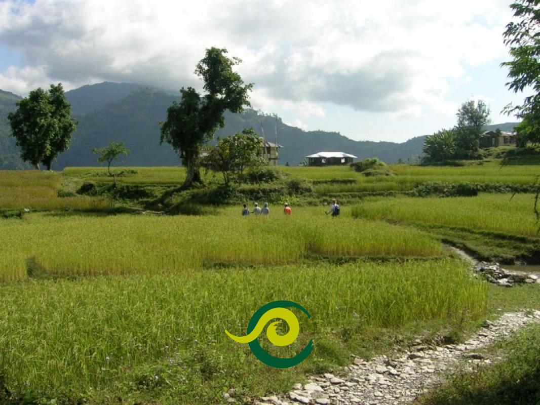 Tour Kalimpong