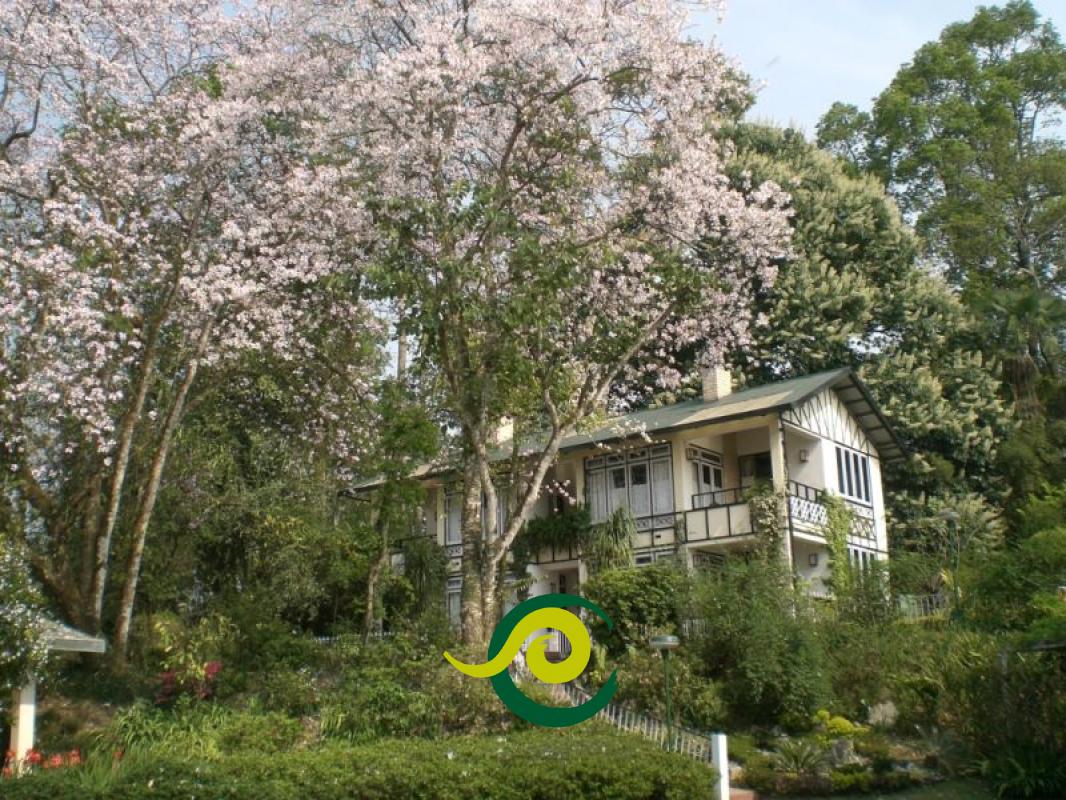 Kalimpong & Darjeeling Kultur & Wanderreise