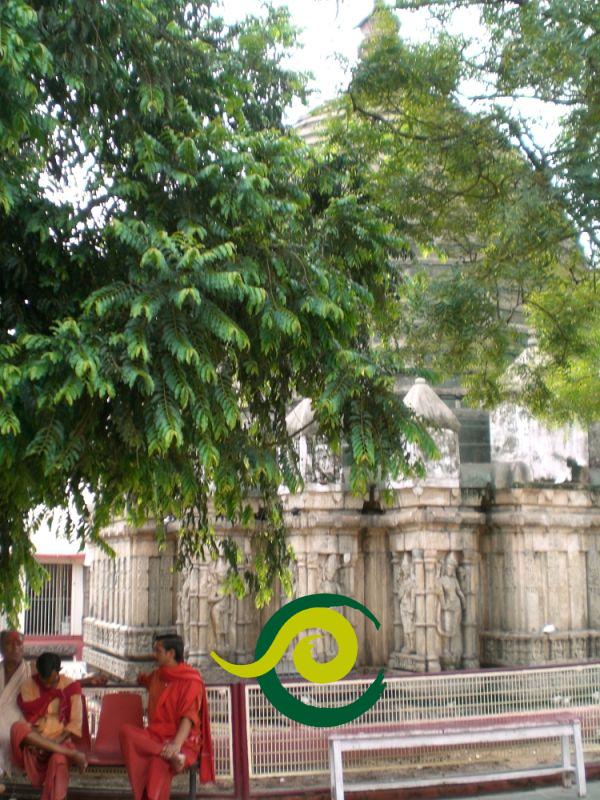 Tour Assam