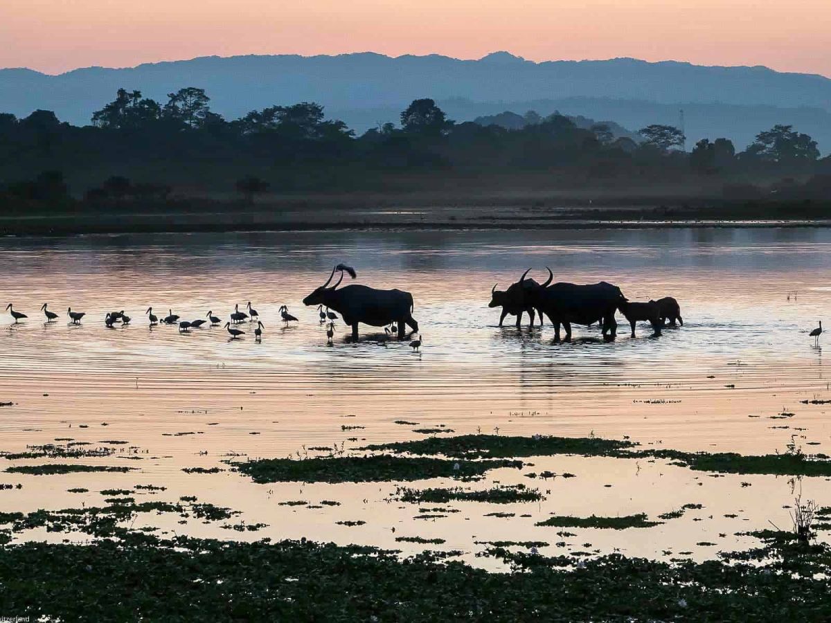 Adventure Assam & Meghalaya Tour – Nature, Culture & Hidden Northeast India