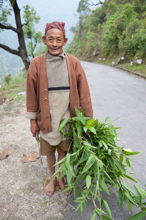 sikkim.ch Photos