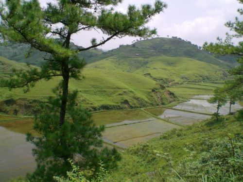 sikkim.ch Photos