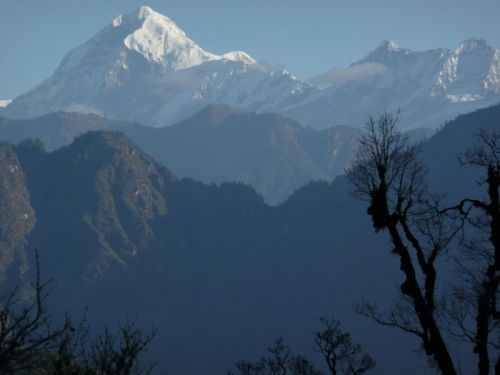 sikkim.ch Photos