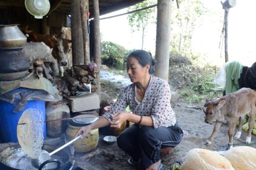 sikkim.ch Photos