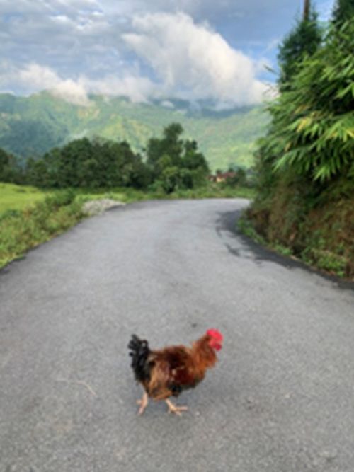 sikkim.ch Photos