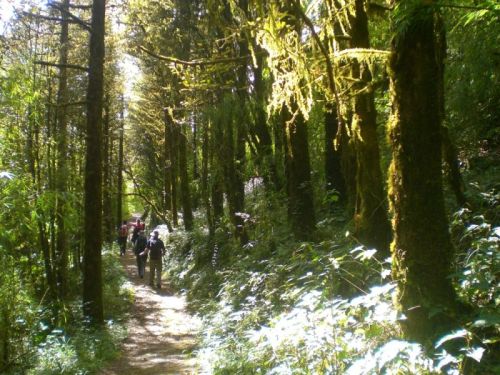 sikkim.ch Photos