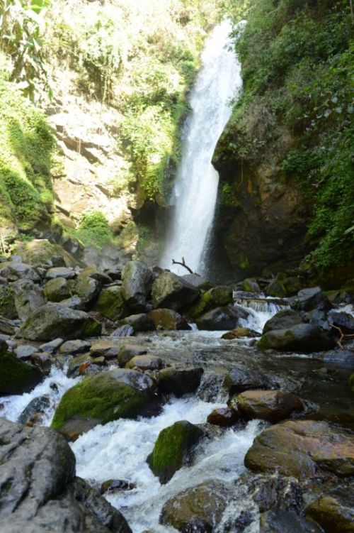 sikkim.ch Photos