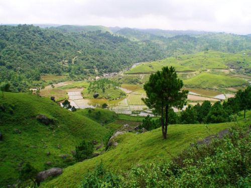 sikkim.ch Photos