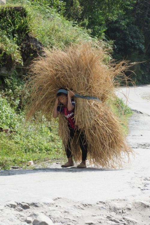 sikkim.ch Photos