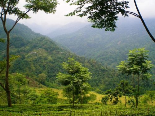 sikkim.ch Photos