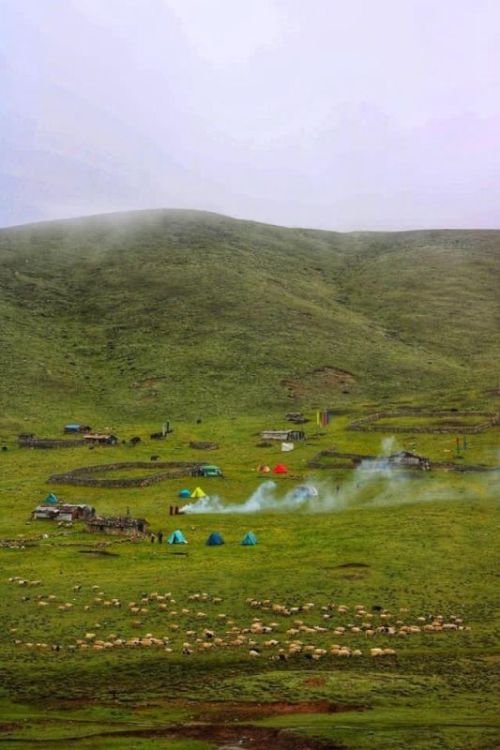 sikkim.ch Photos