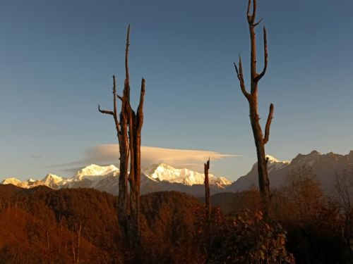 sikkim.ch Photos
