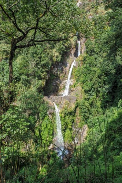 sikkim.ch Photos