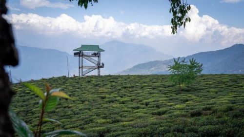 sikkim.ch Photos