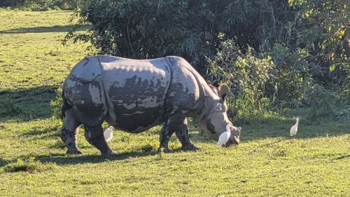 sikkim.ch Photos