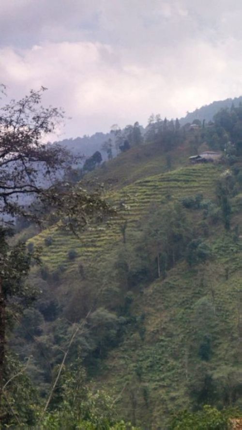 sikkim.ch Photos