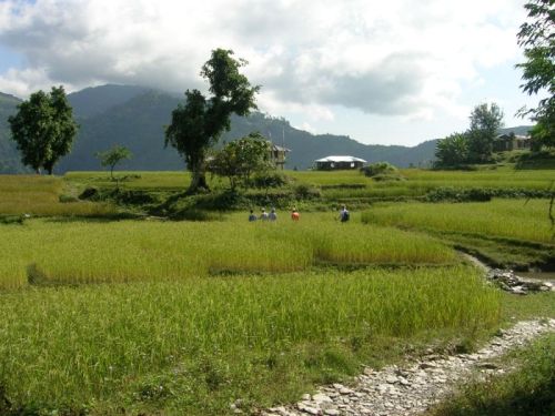 sikkim.ch Photos