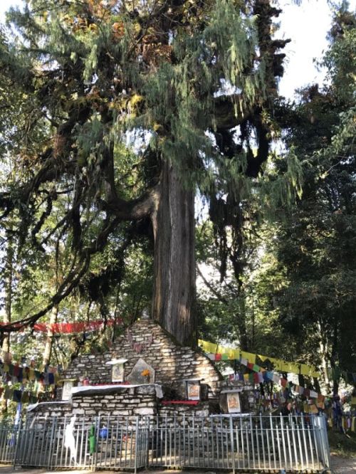 sikkim.ch Photos