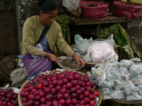 sikkim.ch Photos