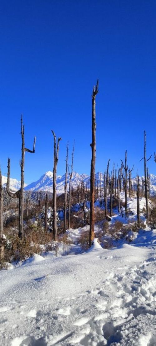 sikkim.ch Photos