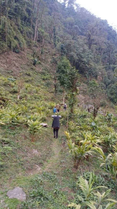 sikkim.ch Photos