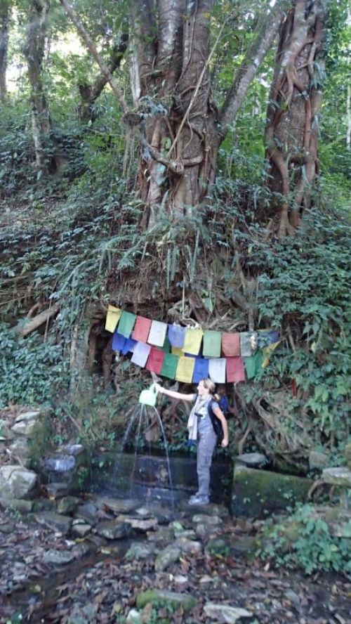 sikkim.ch Photos