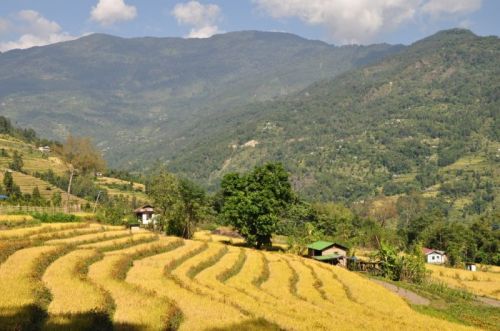 sikkim.ch Photos