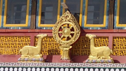 sikkim.ch Photos
