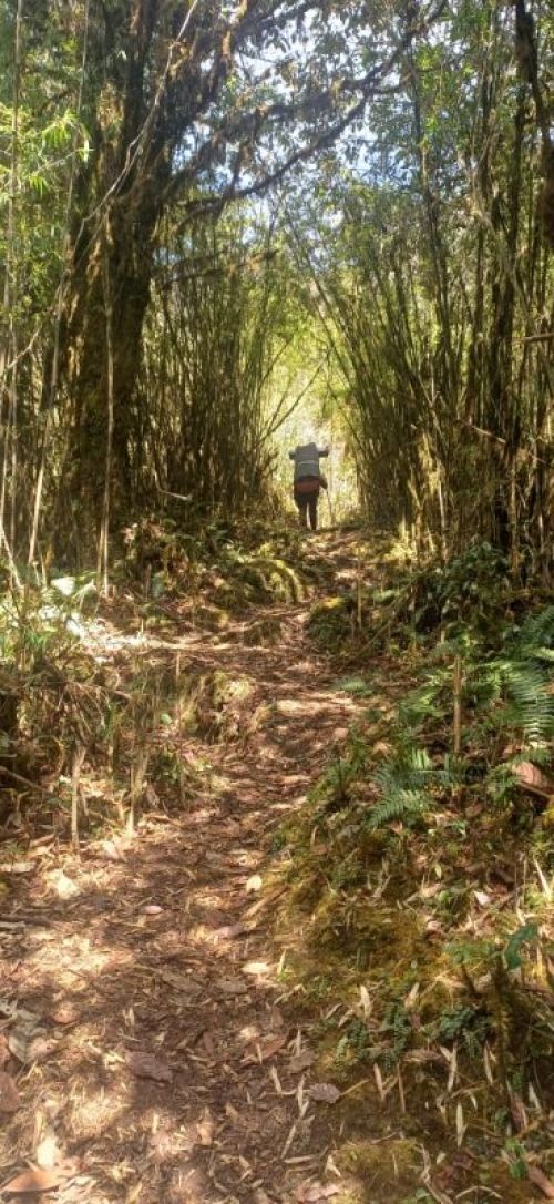 sikkim.ch Photos