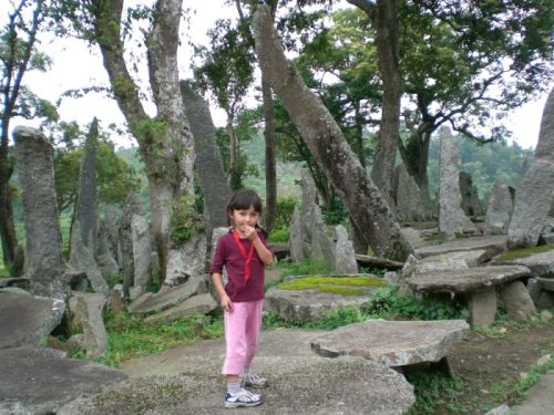 sikkim.ch Photos