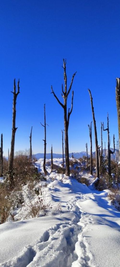 sikkim.ch Photos