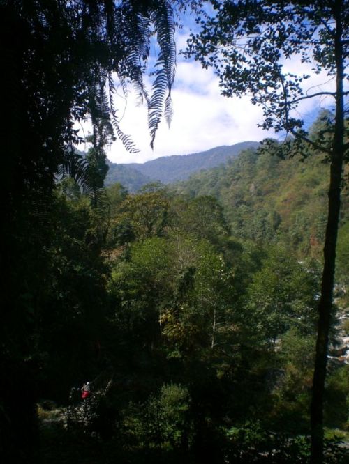 sikkim.ch Photos
