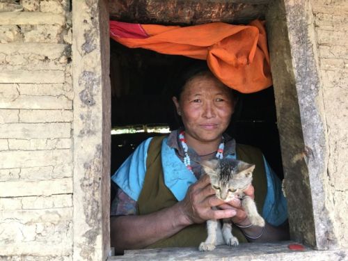 sikkim.ch Photos