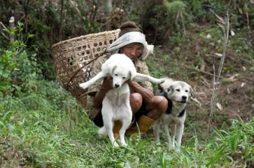sikkim.ch Photos