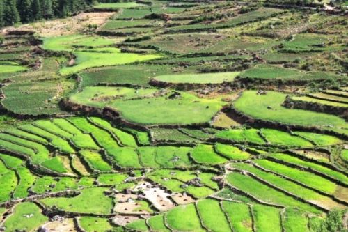 sikkim.ch Photos