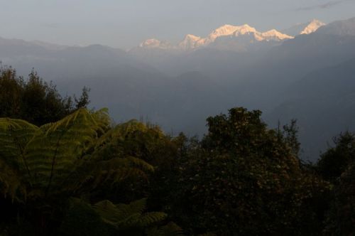sikkim.ch Photos