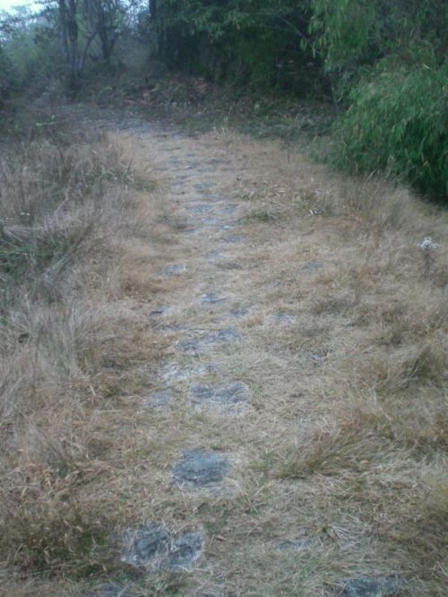 sikkim.ch Photos