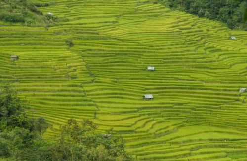 sikkim.ch Photos