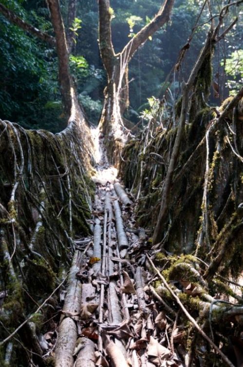 sikkim.ch Photos