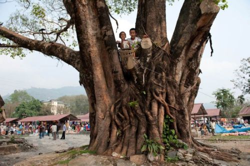 sikkim.ch Photos